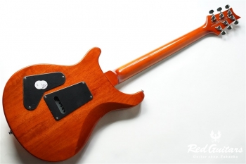 SE Custom 24 - VS